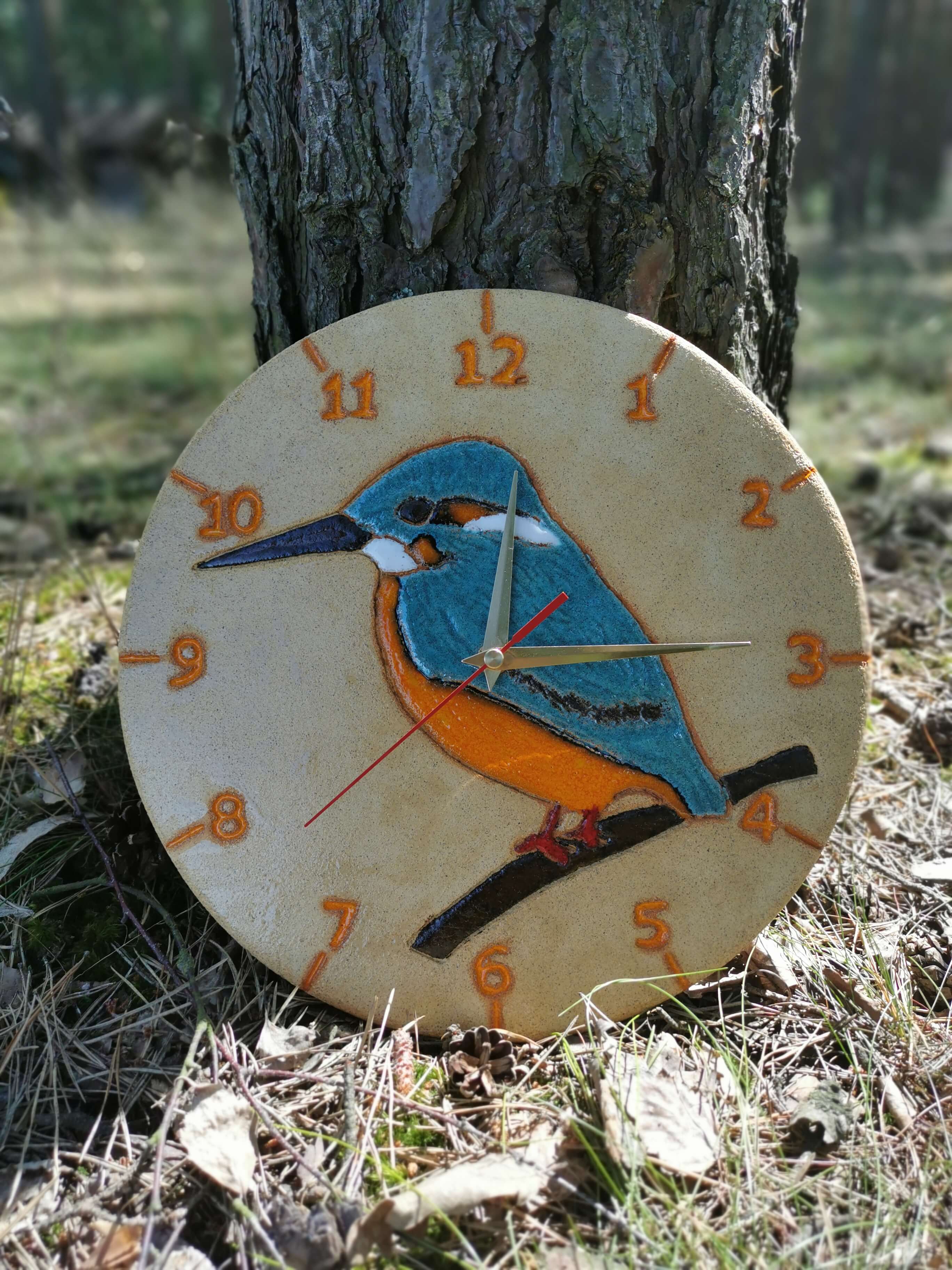 ptasi zegar zimorodek